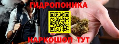 прущие грибы Заводоуковск
