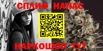 прущие грибы Заводоуковск