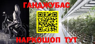 прущие грибы Заводоуковск