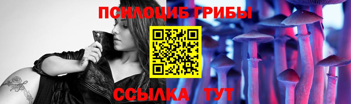 Майский  Галлюциногенные грибы MAGIC MUSHROOMS  Вход с VPN 