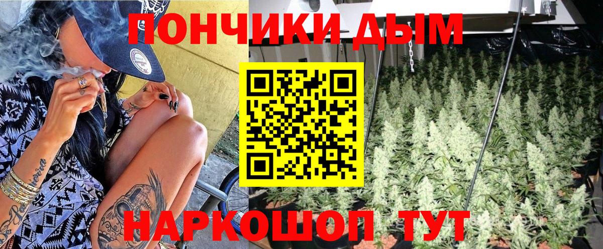 Галлюциногенные грибы Майский